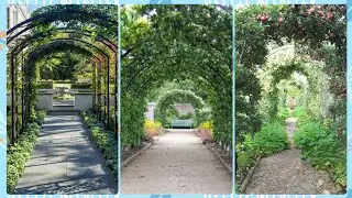 Creative Uses for Garden Tunnels in Your Backyard - Garden Makeover