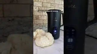 Lions Mane Matcha Latte | Nutr Machine