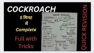 COCKROACH 🔥IN 5 MINUTES🔥||TRICKS||important points💯||NEET 2023||class 11th||CUET 2023