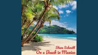 On A Beach in Mexico
