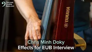 Effects for Upright Bass with Chris Minh Doky + Jaco tribute performance