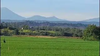 Desa pekuncen pemandangan yg ondah