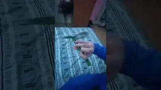 Zephyr flipping #balisong