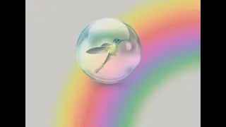 Colibr&iacute;
