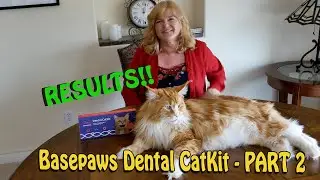 Basepaws Dental CatKit Test Results - Part 2