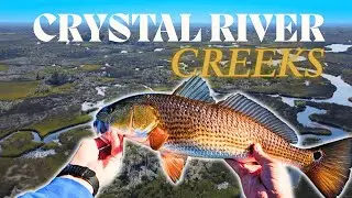 BRUTAL Cold Forced Me Deep Into This Creek… And the REDFISH WERE LOADED