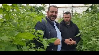 ÇİFTÇİ ARTIK GÖZÜNÜ AÇTI SİYAH TOPRAK 0553 313 83 84