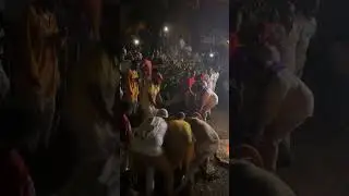 Coupe cabris Marche dans feu chez Ti Karnin 2025