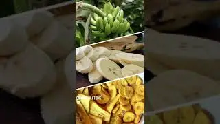 Automatic Banana Plantain  Chips Making Production Line