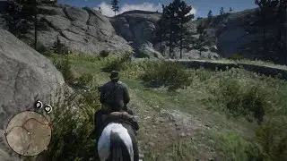 RDR2 - Horse Physics 101