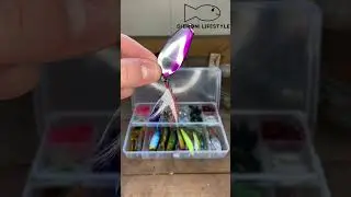 Tackle Master Variety Vault Part 11 #fishing #tackle #variety #GibroniLifestyle #Canada