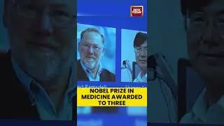 Three Scientists Awarded 2025 Nobel Prize in Medicine for Groundbreaking Discovery