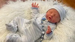 Affordable Silicone Reborn Dolls! Silicone Felicity Box Opening!