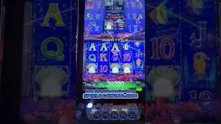 Dolphins Pearl &euro;10 Bet PART 1💥 #casino #gamblinghall #arcade #merkur #slots #novoline