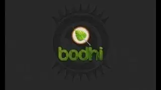 Bodhi Linux