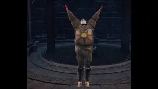 Dark Souls 3 Elevator Glitch ( New hiding spot in Cathedral of the Deep? )