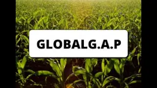 GLOBAL G.A.P Certificate || Global Good Agricultural Practice Certification