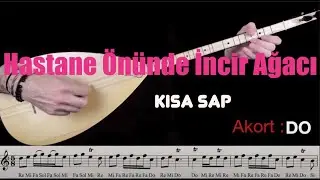 Hadi Saz Çalalım - Hastane Önünde İncir Ağacı