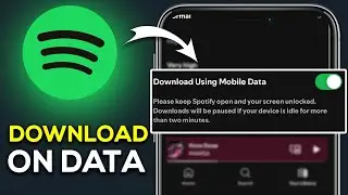 How To Acces Spotify Download Any Song On Your Data - Easy Guide