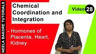 Chemical Coordination and Integration | NEET | Hormones of Placenta, Heart, Kidney | Neela Bakore