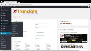 GTranslate - Google Translate for Wordpress Demo