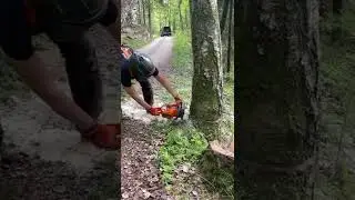 The power of a mini chainsaw and a woman