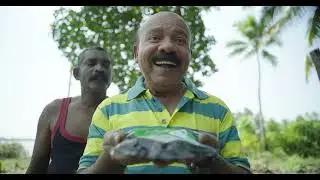 T COCO Tender Coconut Pulp