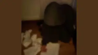 Write an apology