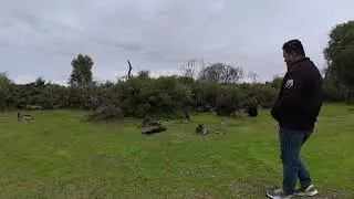 Yanchep National Park, WA
