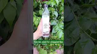 Maxcare Pure Coconut Oil #maxcare #coconutoil #coldpressedoil #hairoil #haircare #shortsvideo