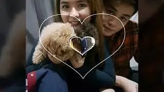 LoiNie Perfect by Ed Sheeran
