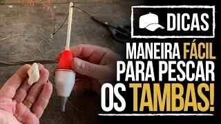 MANEIRA FÁCIL PARA PESCAR OS TAMBAS! (DICA)