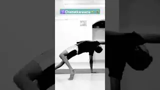 🕉️Chamatkar Asana🤸improve spinal flexibility🧘Strengthens arms,shoulders and core&opened chest,lungs.