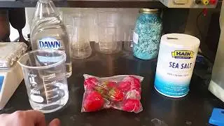Extraction of Strawberry Chromosomes and an Under the Scope look
