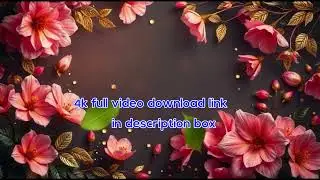 4K Cinematic wedding video background-11