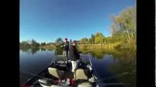 Bass Gear - Musky on Scugog Lake