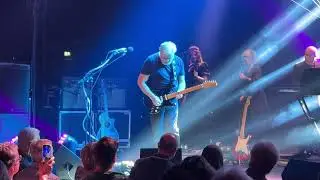 Pink Project playing Comfortably Numb, Pink Floyd. Effenaar, Eindhoven 27.10.2024