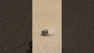 #hawktuah #yukon #postalredneck #truck #dunes #viral