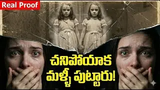 చనిపోయిన వాళ్ళు మళ్ళీ పుట్టారు! 😱 The Real Story of Pollock Twins | TV Facts Telugu