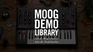 Grandmother | Randomized Filter Envelope Modulation