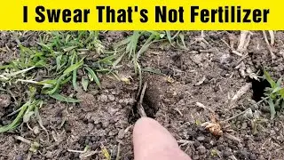 1st Lawn Treatment Of The Year | It's Not Fertilizer
