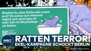BERLIN: Rattenplage in der Hauptstadt! Kampagne soll Image aufpolieren, statt Problem zu l&ouml;sen!