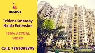 Trident Embassy | ☎️7861008808 | 3 BHK Flat for Sale in Noida Extension | Actual Video | 1540 Sqft