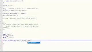 How to Display the Results from a PDO Database Query