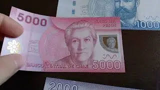 Chilean Pesos 🇨🇱
