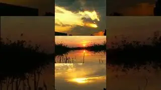 sunrise and sunset timelapse Beutiful video #nature #timelapse
