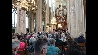 Bastiaan Stolk - Samenzang 'Psalm 146'