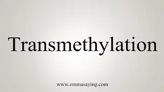 How To Say Transmethylation