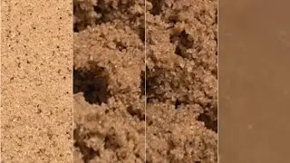 Mosser Lee ⚘️ Adding More Water💧 #asmr #satisfying #sand #sandplay #asmrsand 