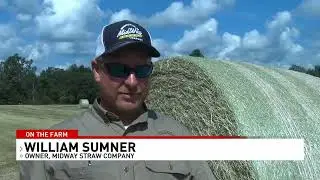 WGXA 